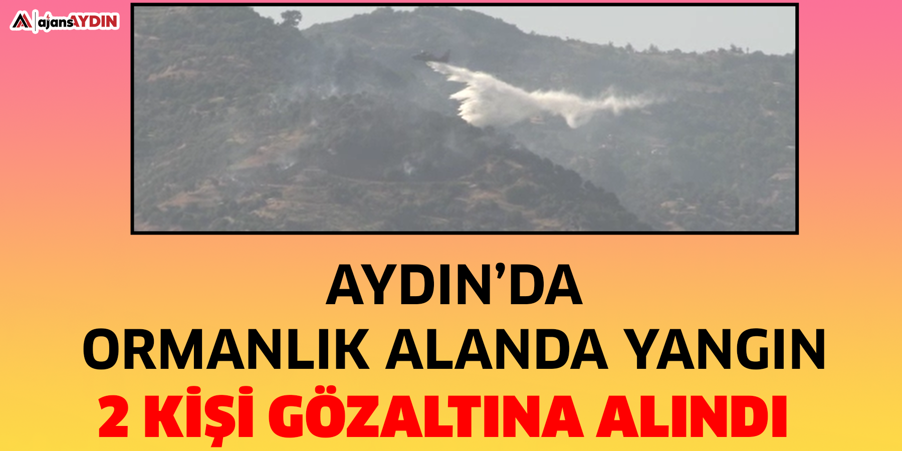 Aydın’da ormanlık alanda yangın  2 kişi gözaltına alındı