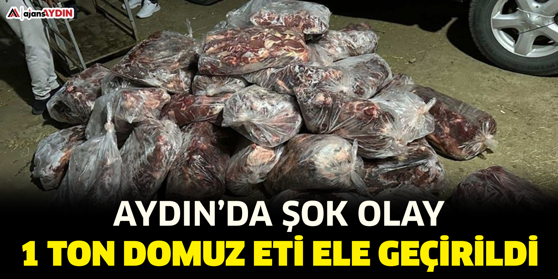 Aydın’da şok olay  1 ton domuz eti ele geçirildi