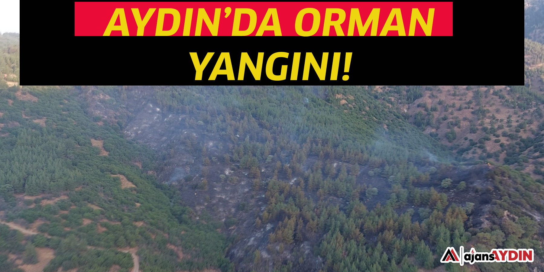 Aydın’da orman yangını!