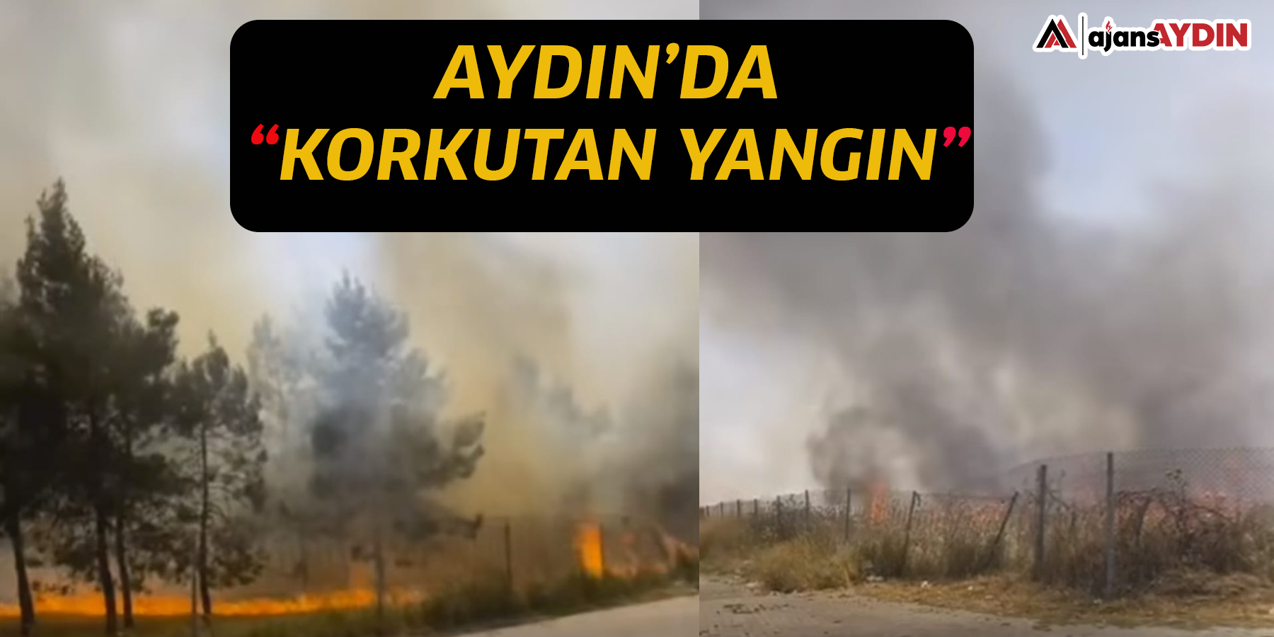 Aydın’da korkutan yangın
