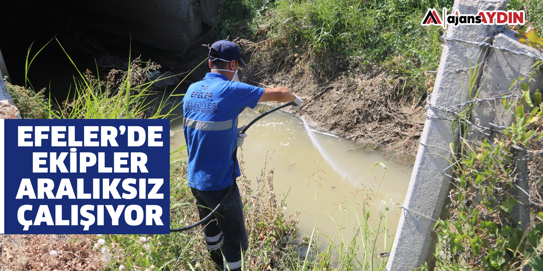 EFELER’DE İLAÇLAMA ÇALIŞMALARI HIZLA DEVAM EDİYOR