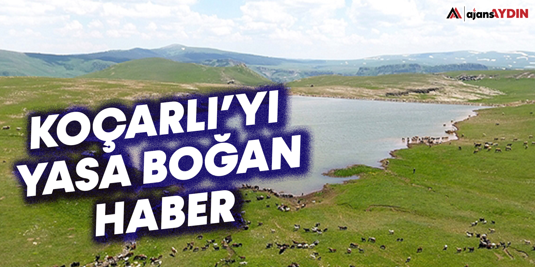 Koçarlı'yı yasa boğan haber