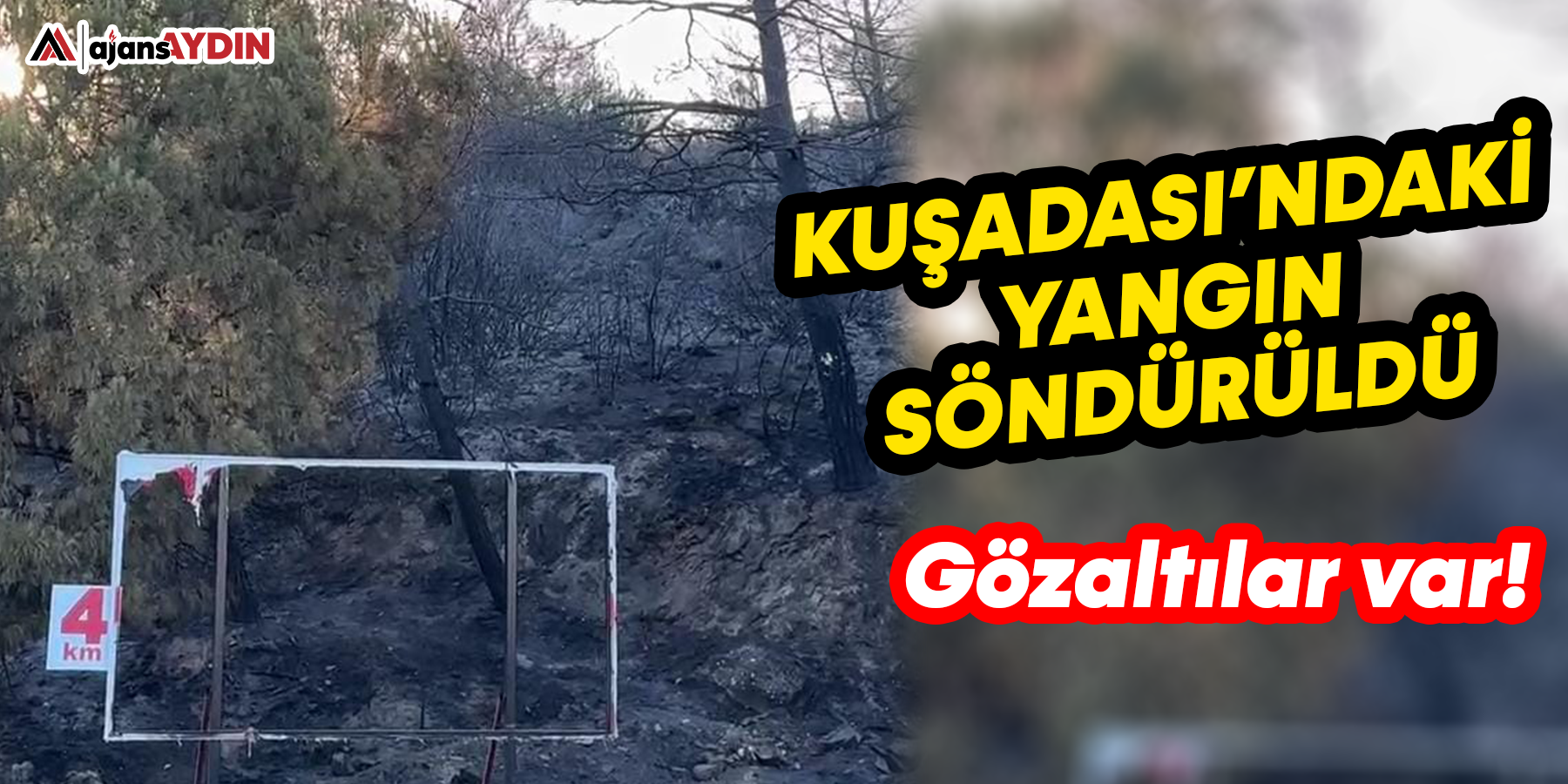 Kuşadası'ndaki yangın söndürüldü