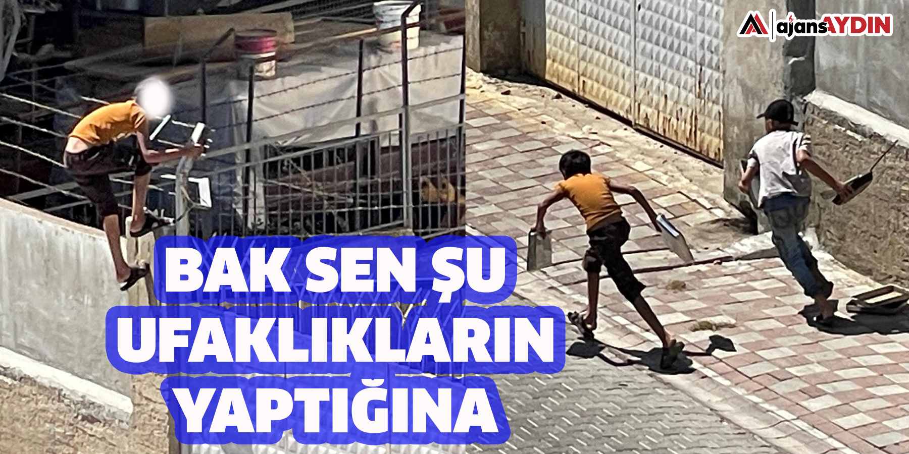 Bak sen şu ufaklıkların yaptığına