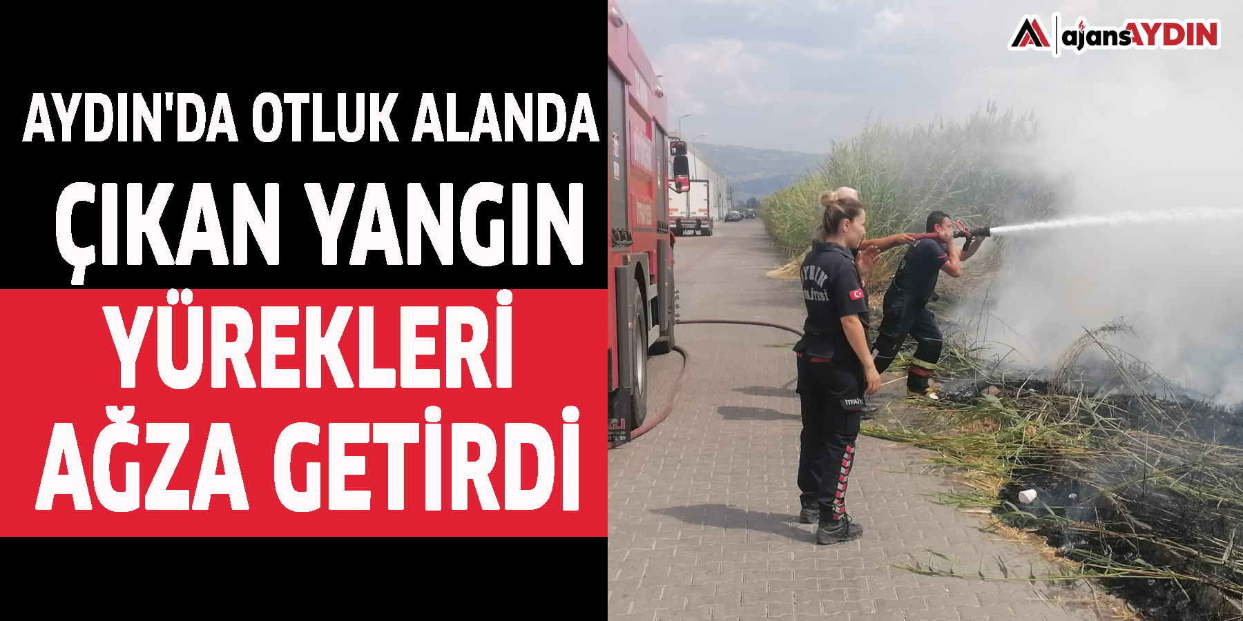 Aydın'da otluk alanda çıkan yangın yürekleri ağza getirdi