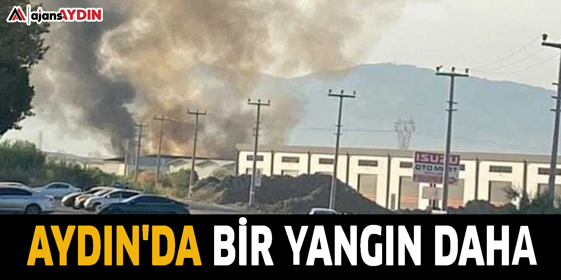 Aydın'da bir yangın daha