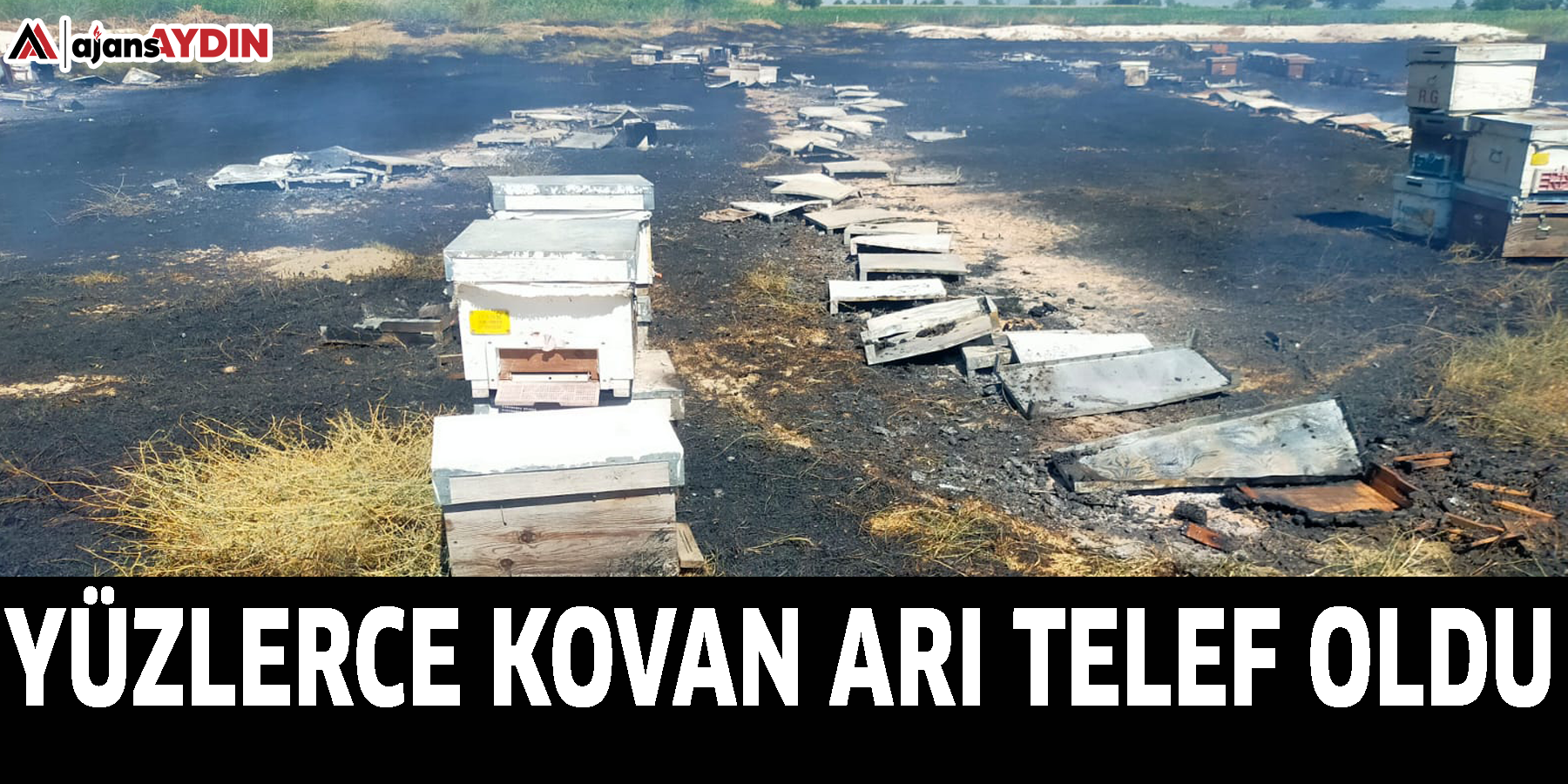 Yüzlerce kovan arı telef oldu