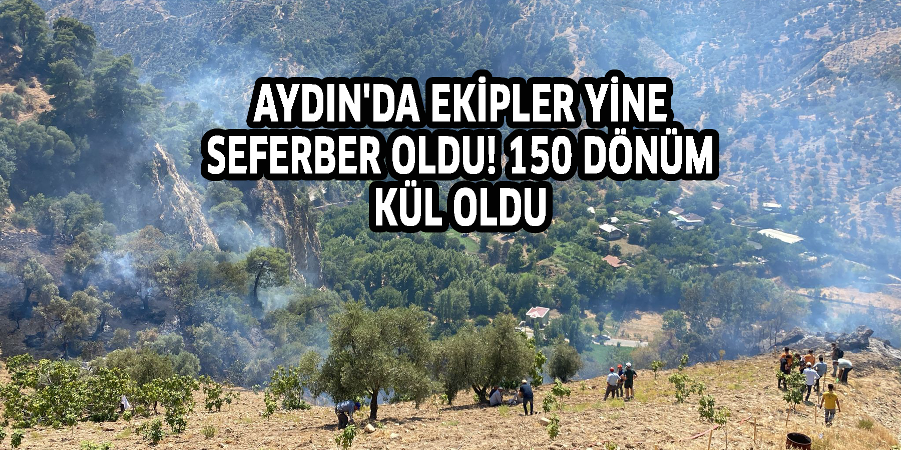 Aydın'da ekipler yine seferber oldu! 150 dönüm kül oldu