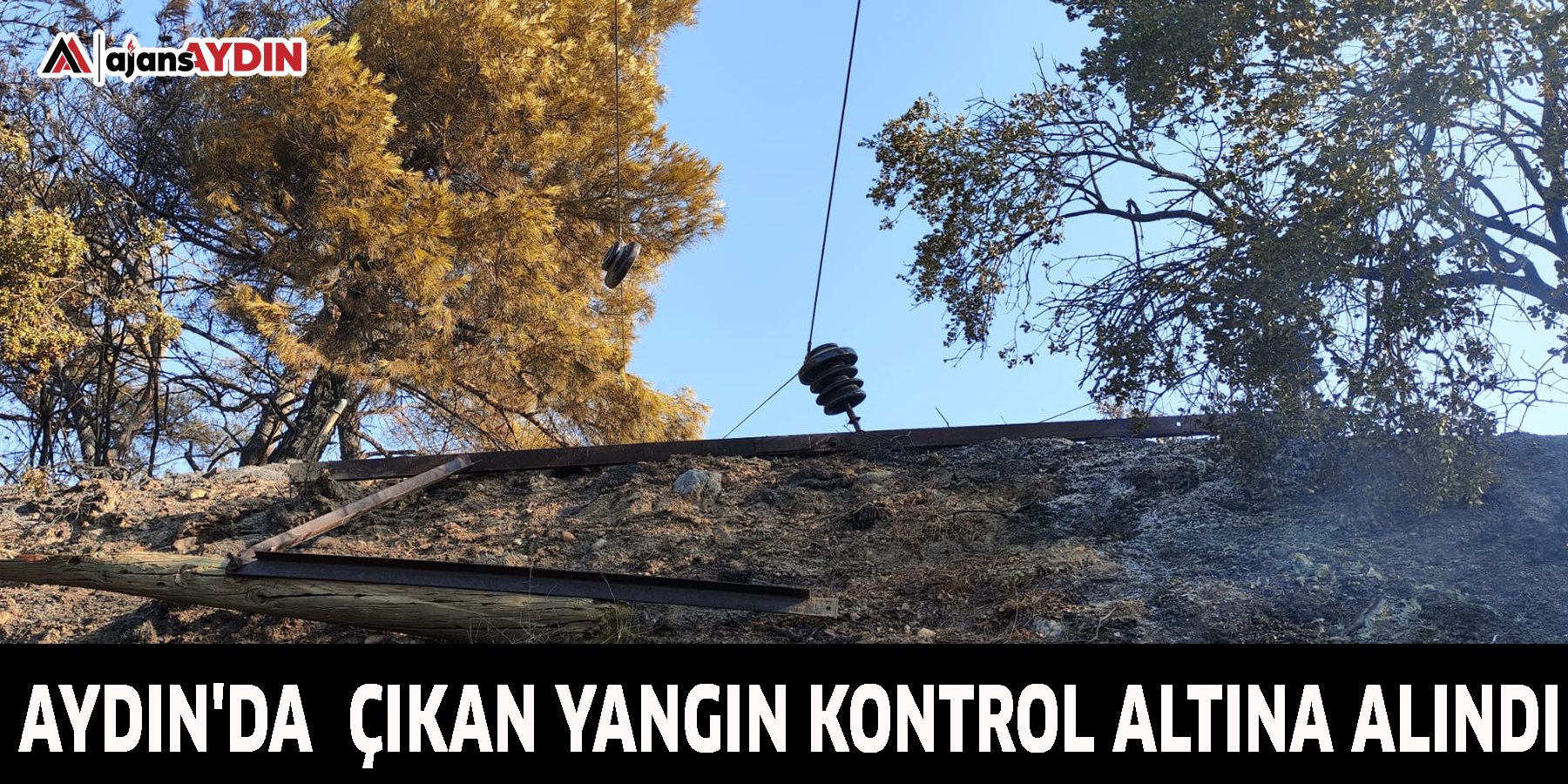 Aydın'da  çıkan yangın kontrol altına alındı