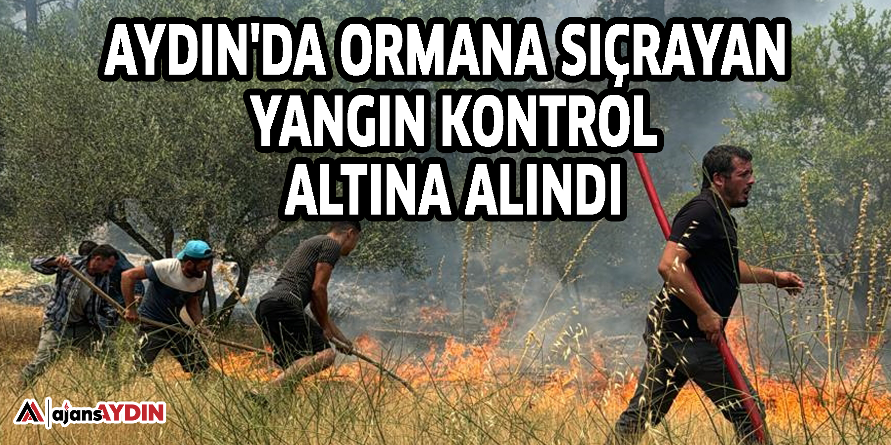 Aydın'da ormana sıçrayan yangın kontrol altına alındı