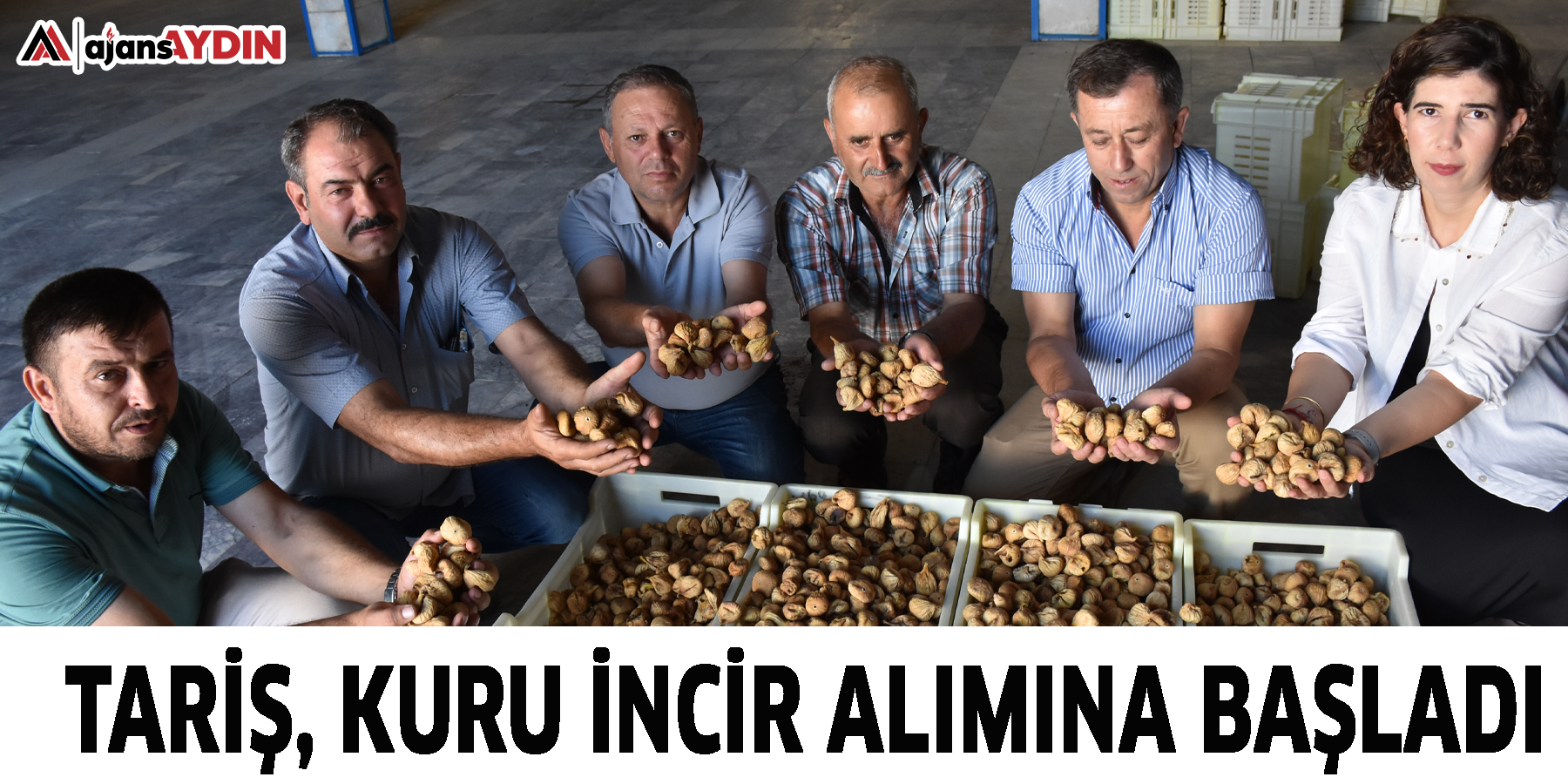 Tariş, kuru incir alımına başladı