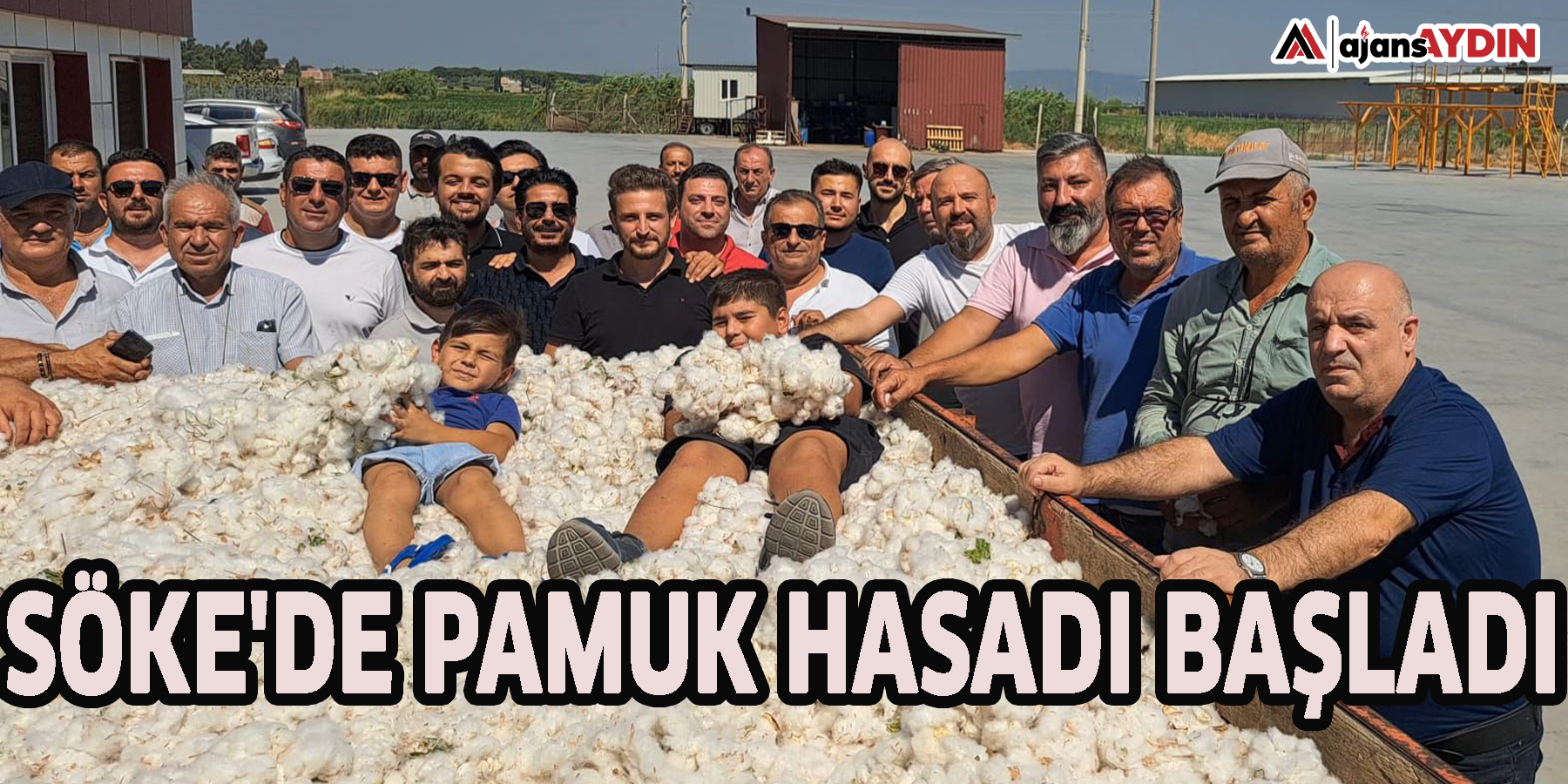 Söke'de pamuk hasadı başladı