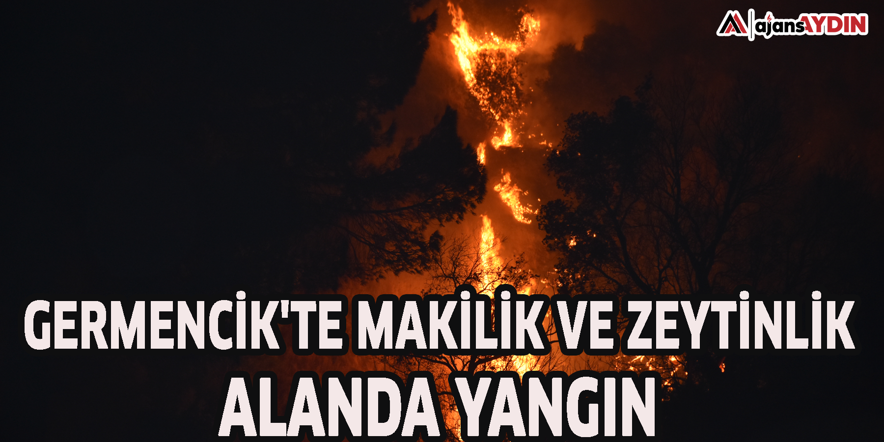 Germencik'te makilik ve zeytinlik alanda yangın