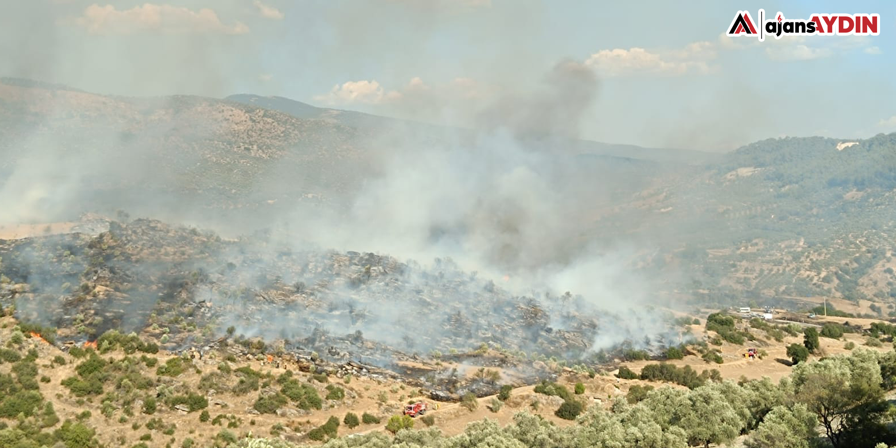 Makilik ve zeytinlik alanda çıkan yangın kontrol altına alındı