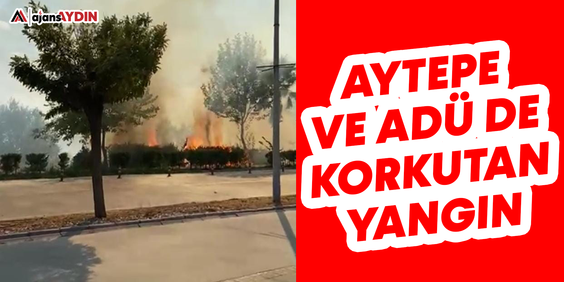 ADÜ ve Aytepe'de korkutan yangın