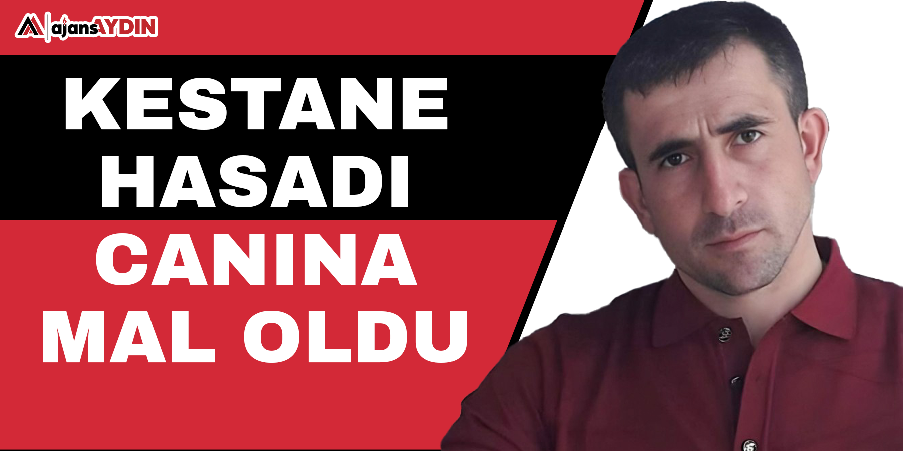 Kestane hasadı canına mal oldu