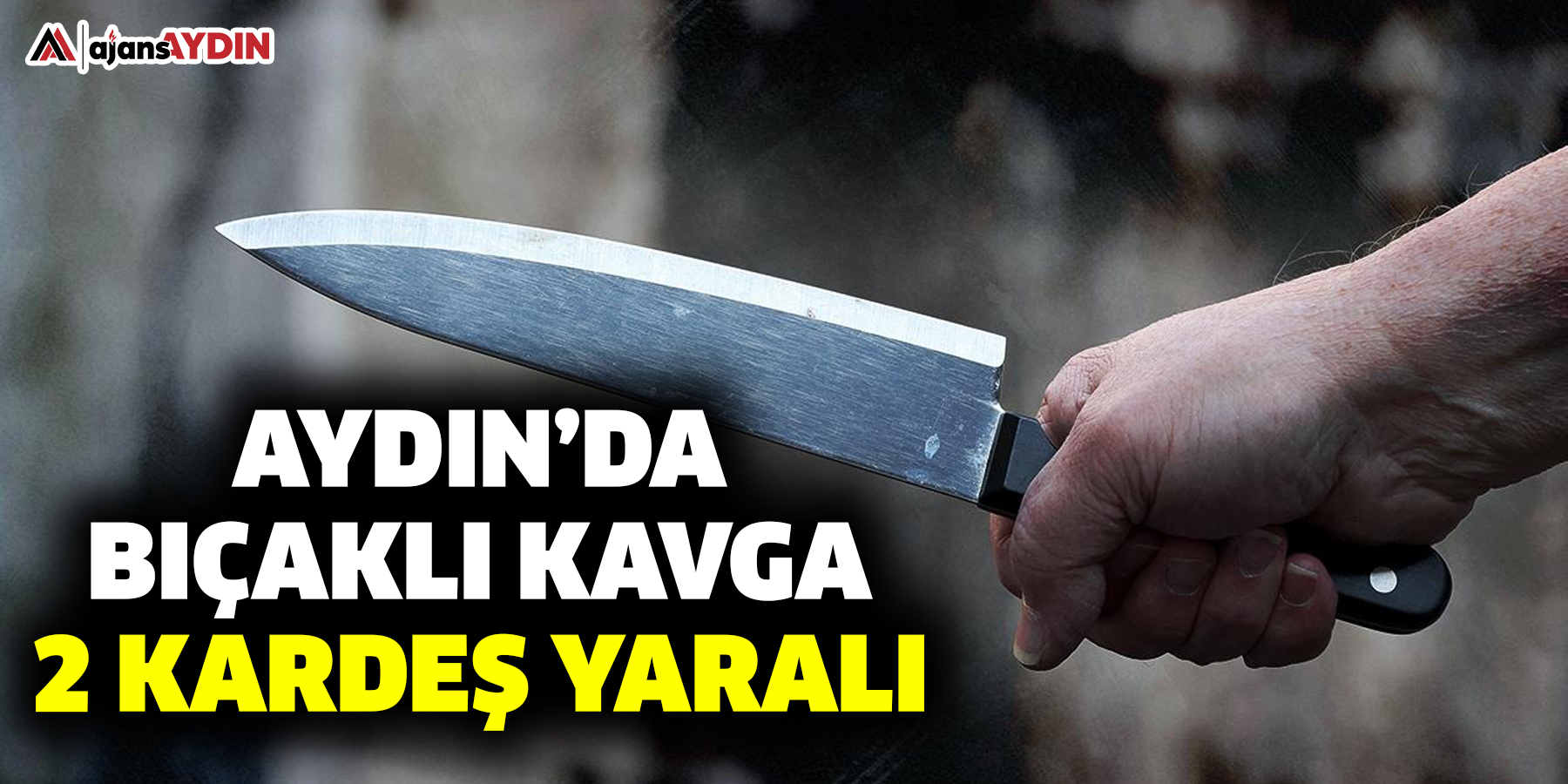 Aydın’da bıçaklı kavga  2 kardeş yaralı