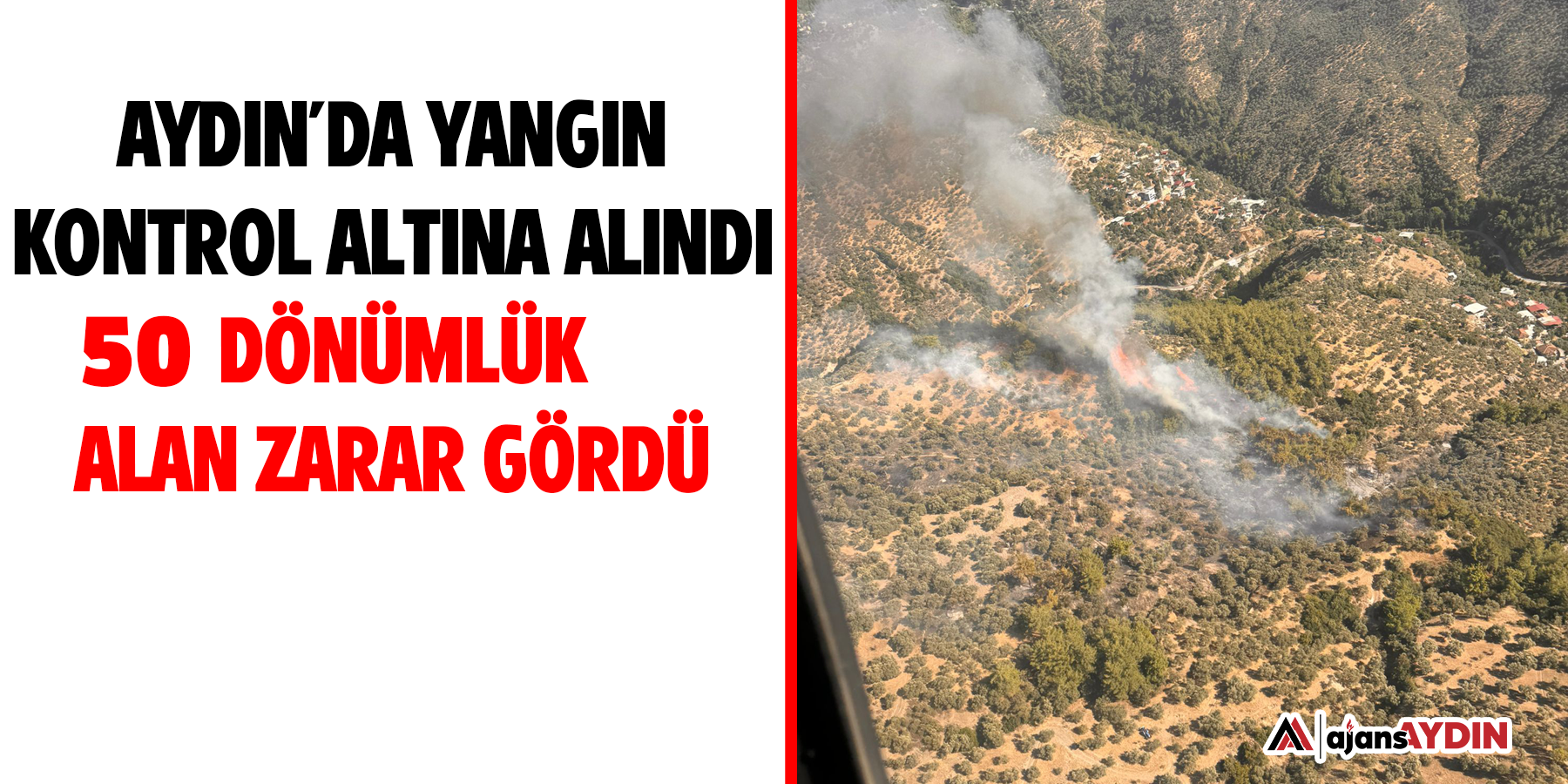 Aydın’da yangın kontrol altına alındı  50 dönümlük alan zarar gördü