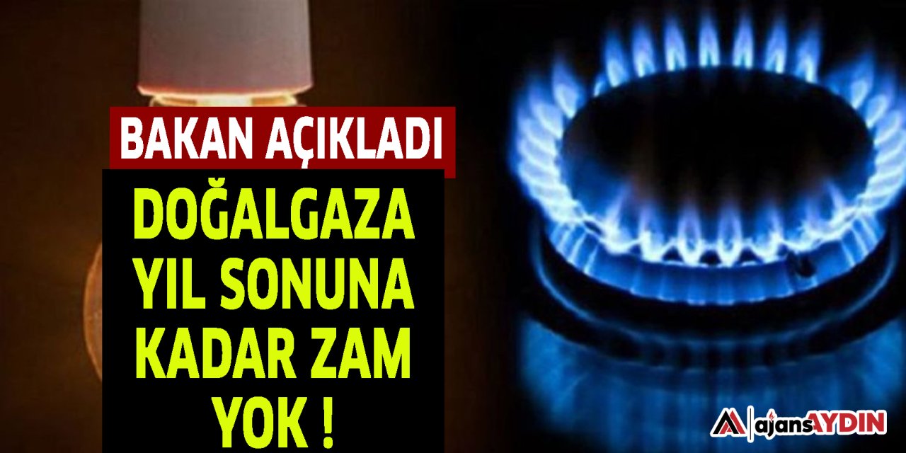 Bakan açıkladı  DOĞALGAZA YIL SONUNA KADAR ZAM YOK !