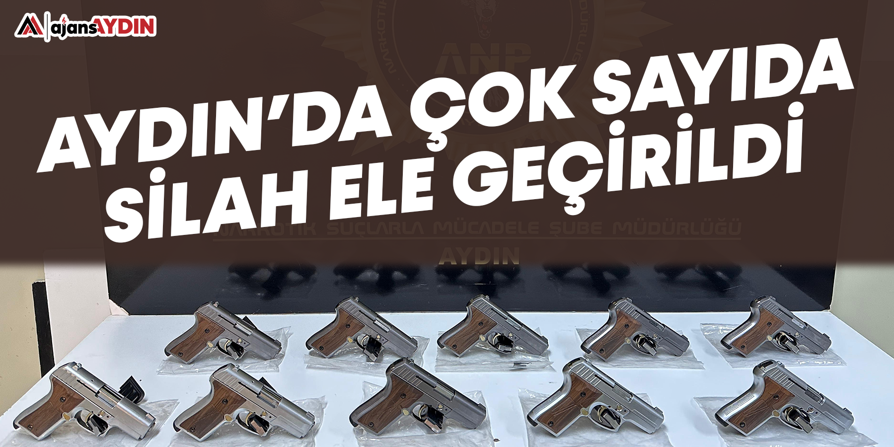 Aydın'da çok sayıda silah ele geçirildi