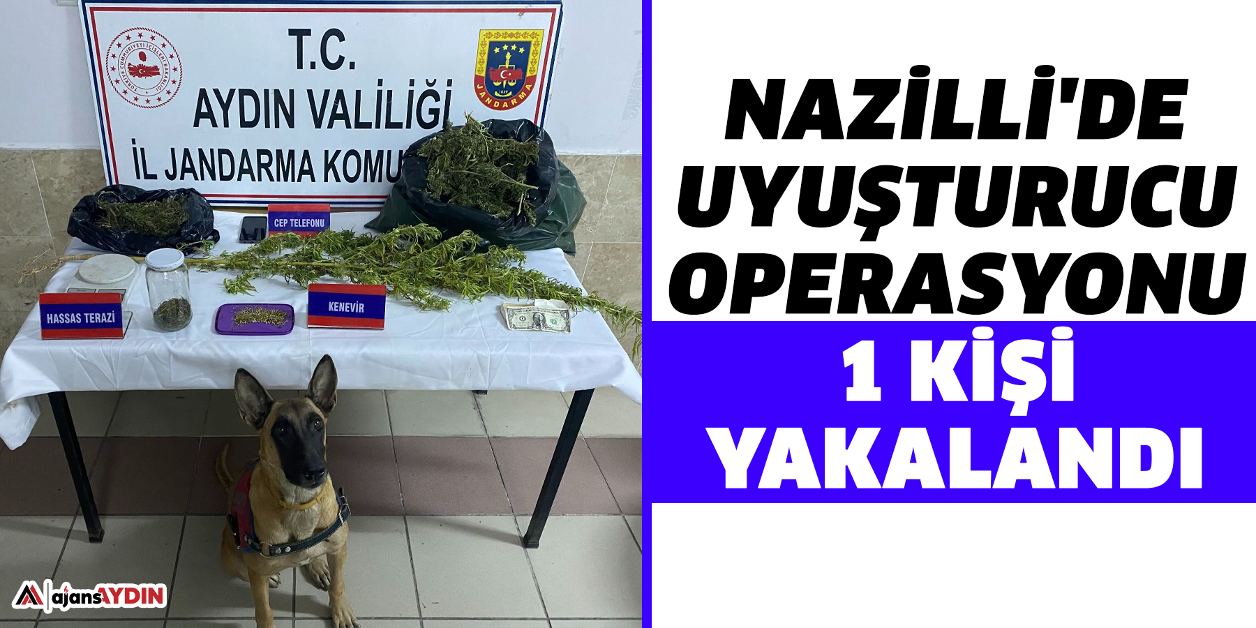 Nazilli'de uyuşturucu operasyonu; 1 kişi yakalandı