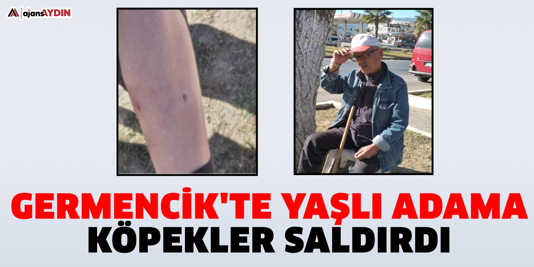 Germencik'te yaşlı adama köpekler saldırdı