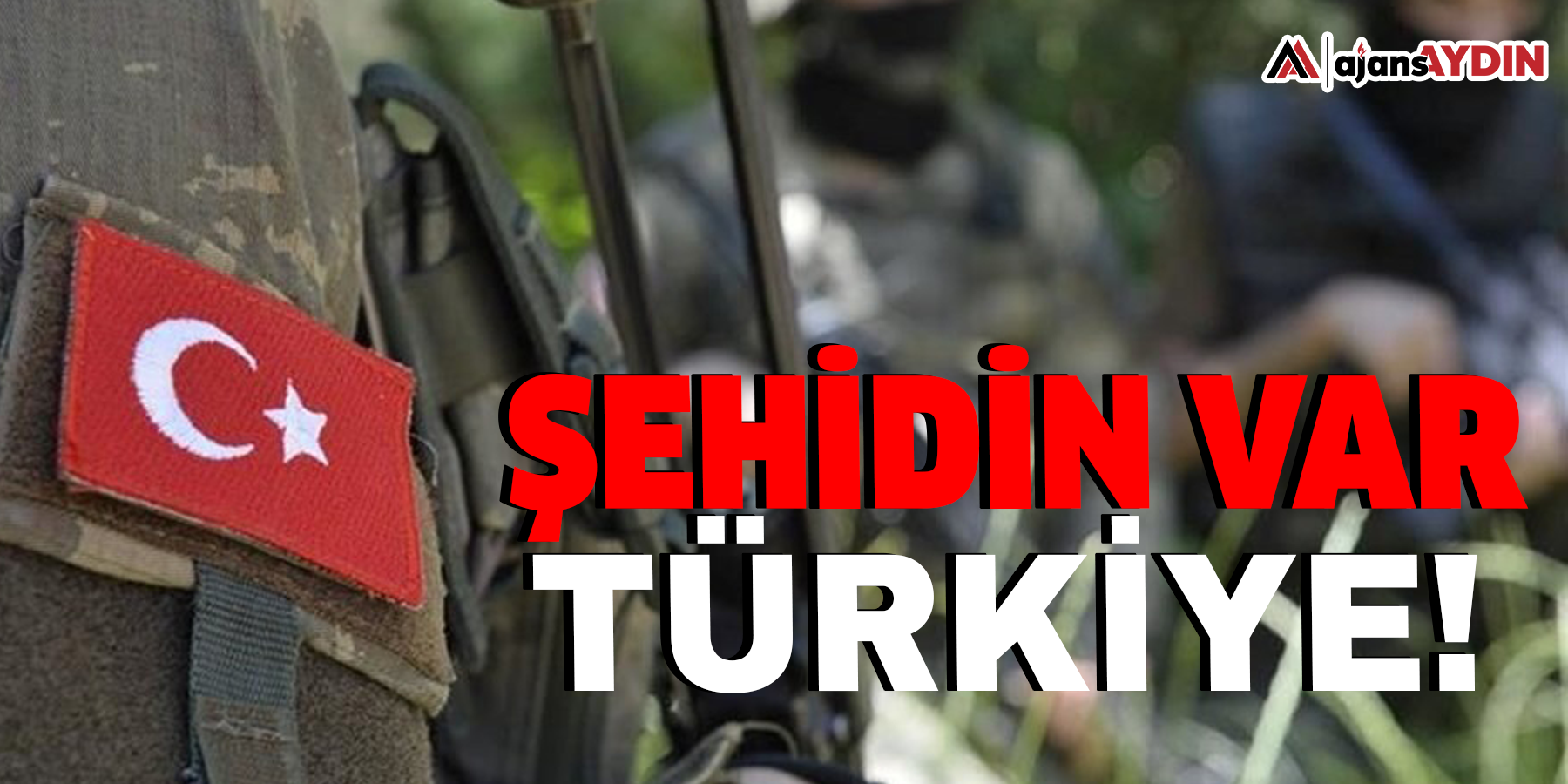 Şehidin var Türkiye!