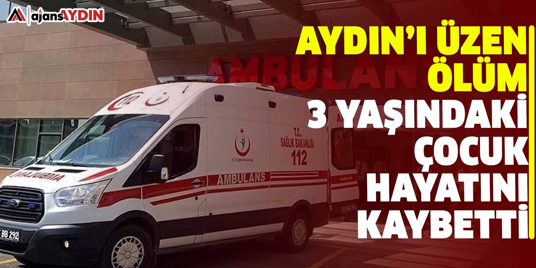 Aydın’ı üzen ölüm:  3 yaşındaki çocuk hayatını kaybetti