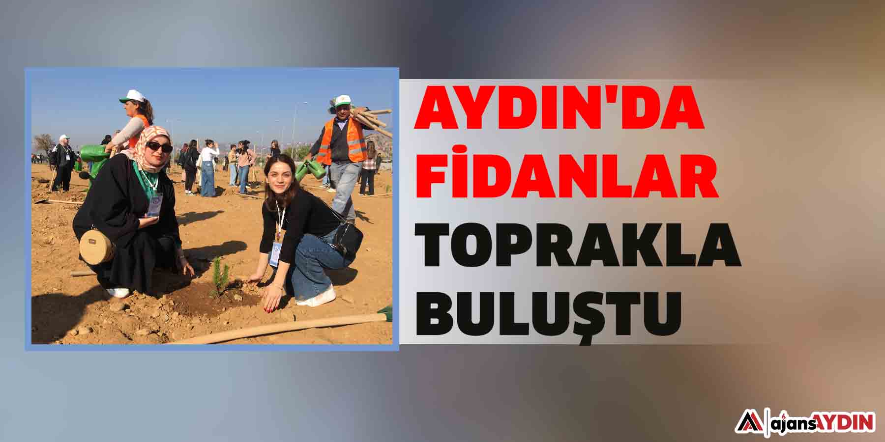 Aydın'da fidanlar toprakla buluştu