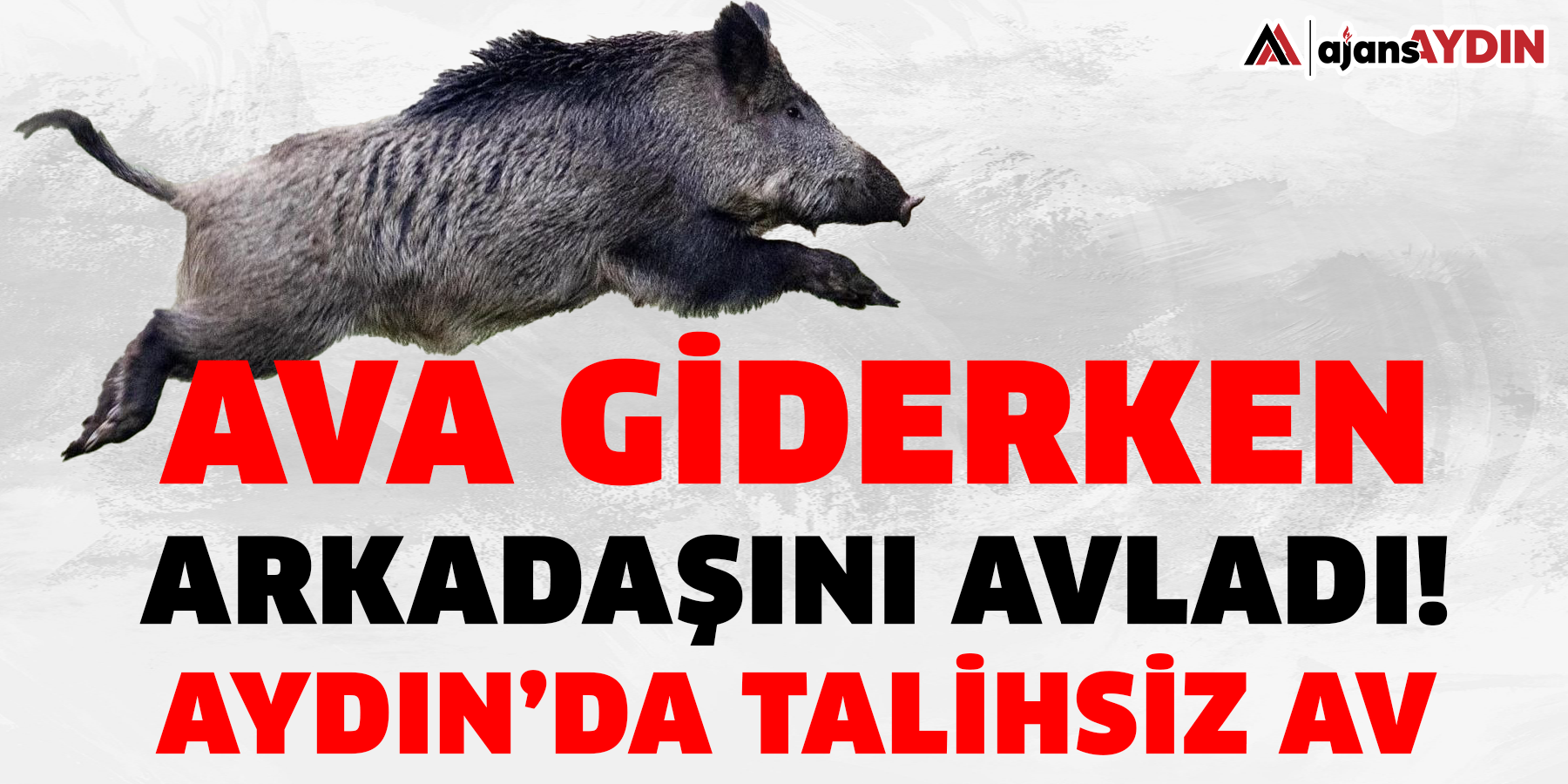 Ava giderken arkadaşını avladı!  Aydın’da talihsiz av