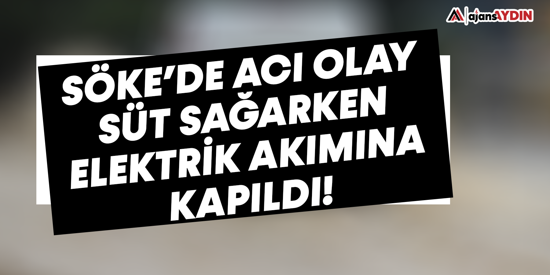 Söke'de acı olay!