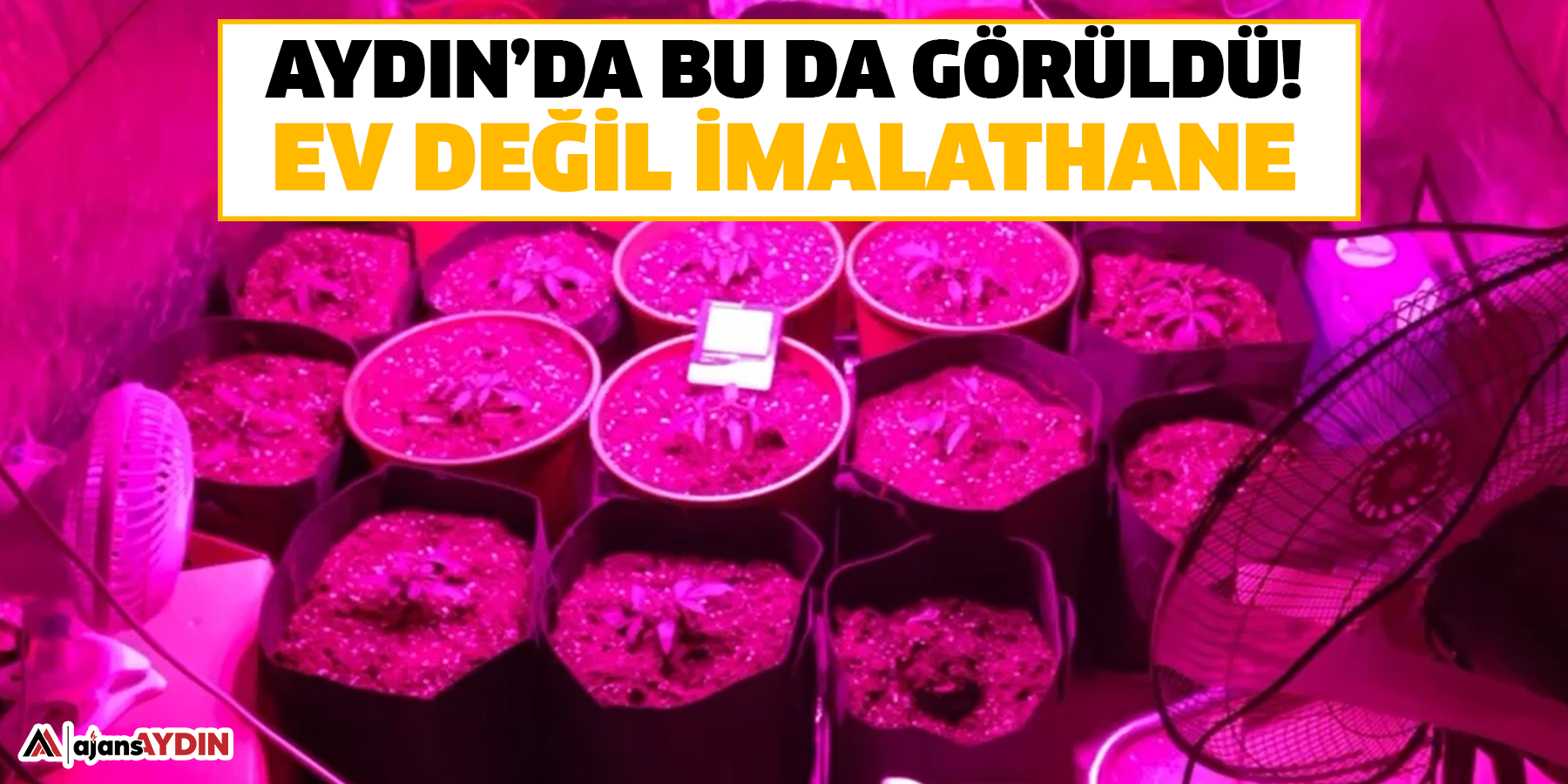 Aydın’da bu da görüldü!  Ev değil imalathane