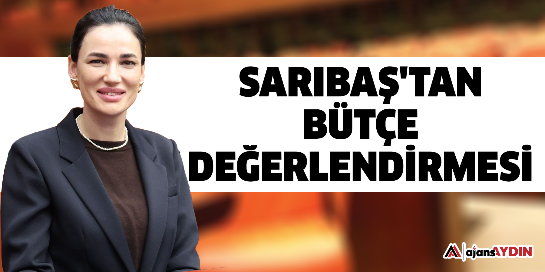 Sarıbaş'tan bütçe değerlendirmesi