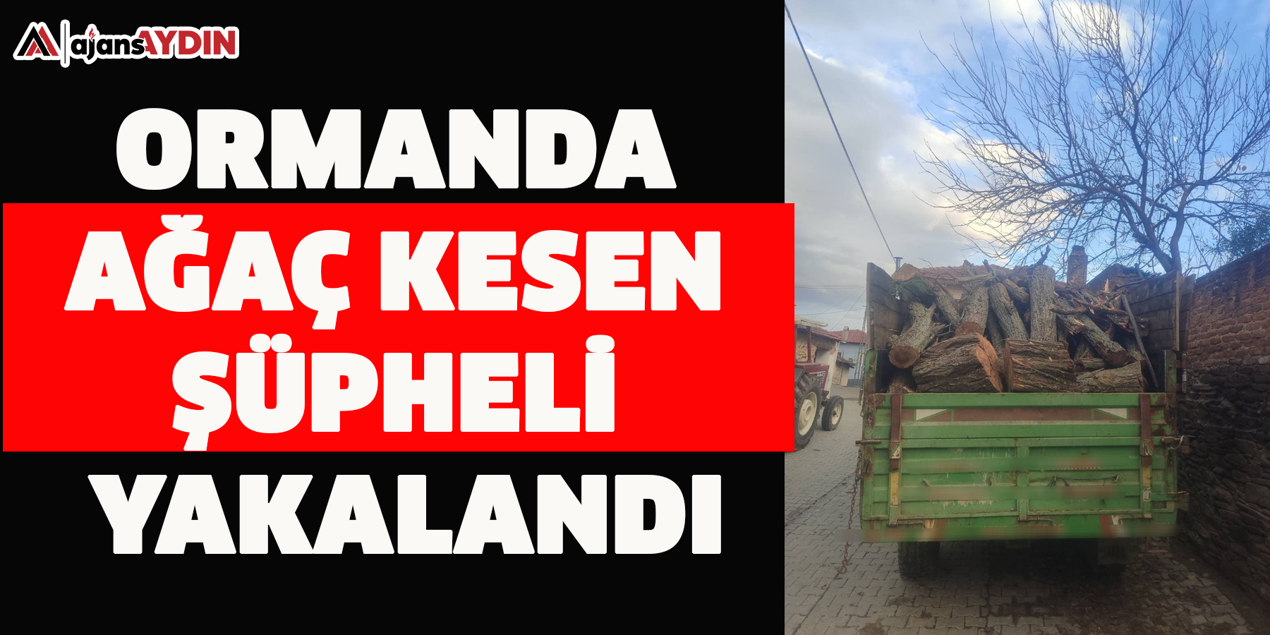 Ormanda ağaç kesen şüpheli yakalandı