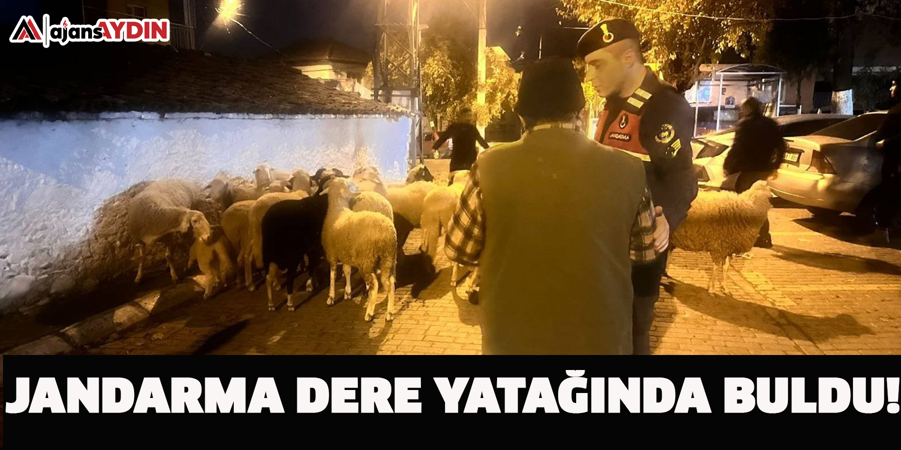 Jandarma dere yatağında buldu!