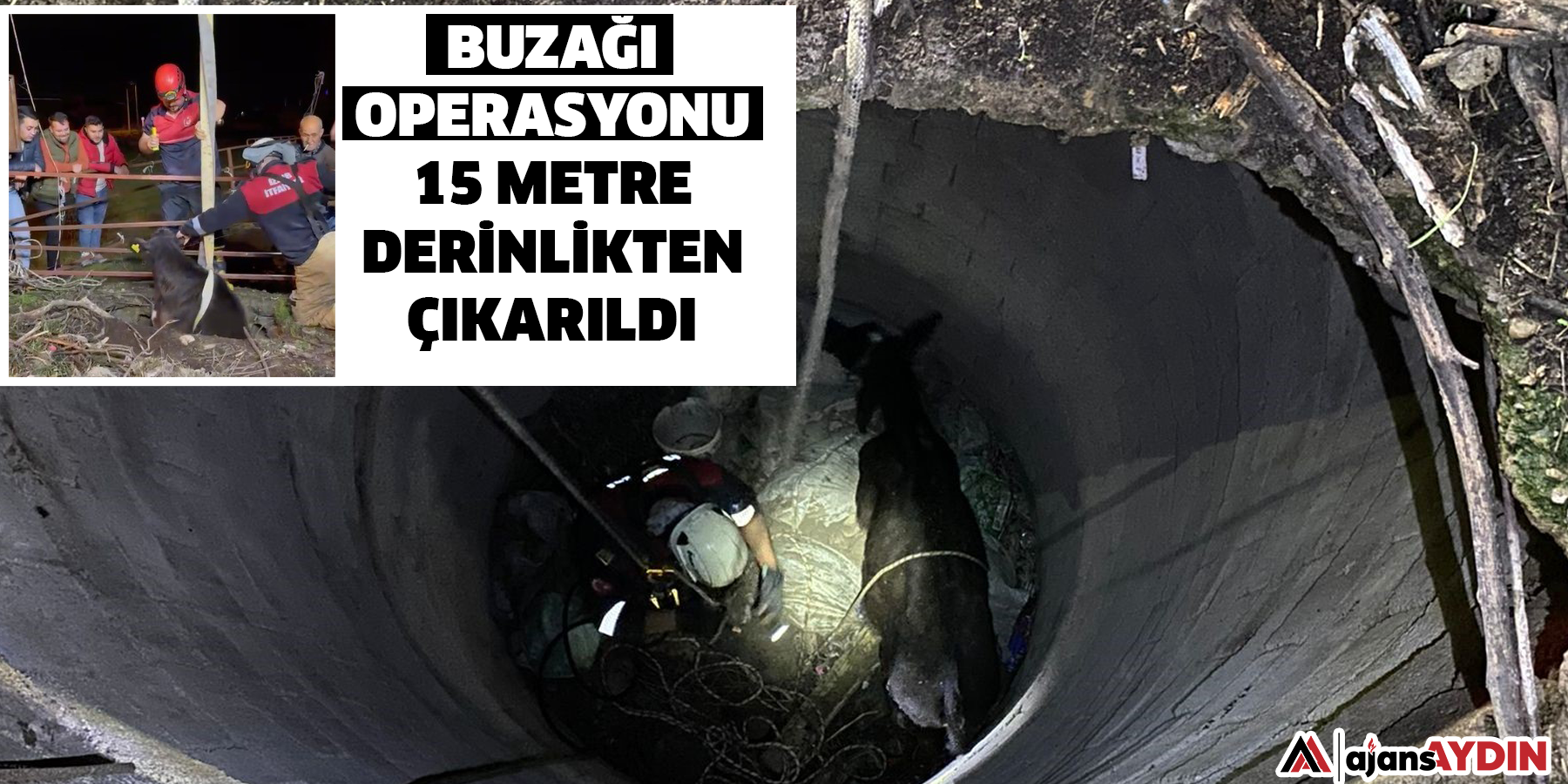 Buzağı operasyonu:15 metre derinlikten çıkarıldı