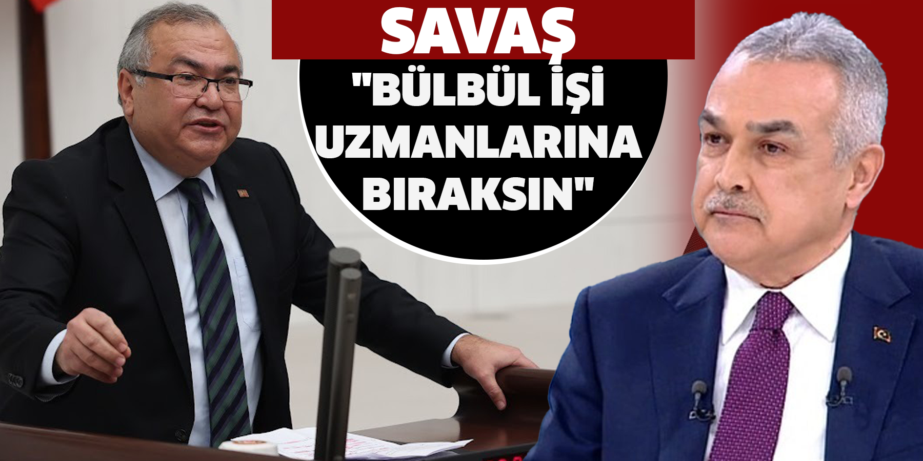 Savaş: "Bülbül işi uzmanlarına bıraksın"