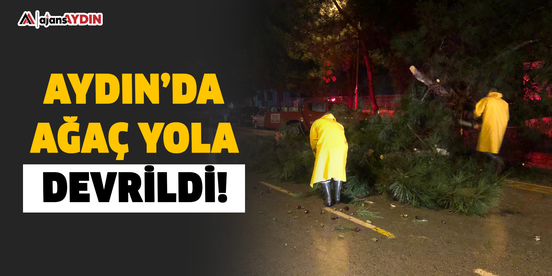 Aydın’da ağaç yola devrildi!