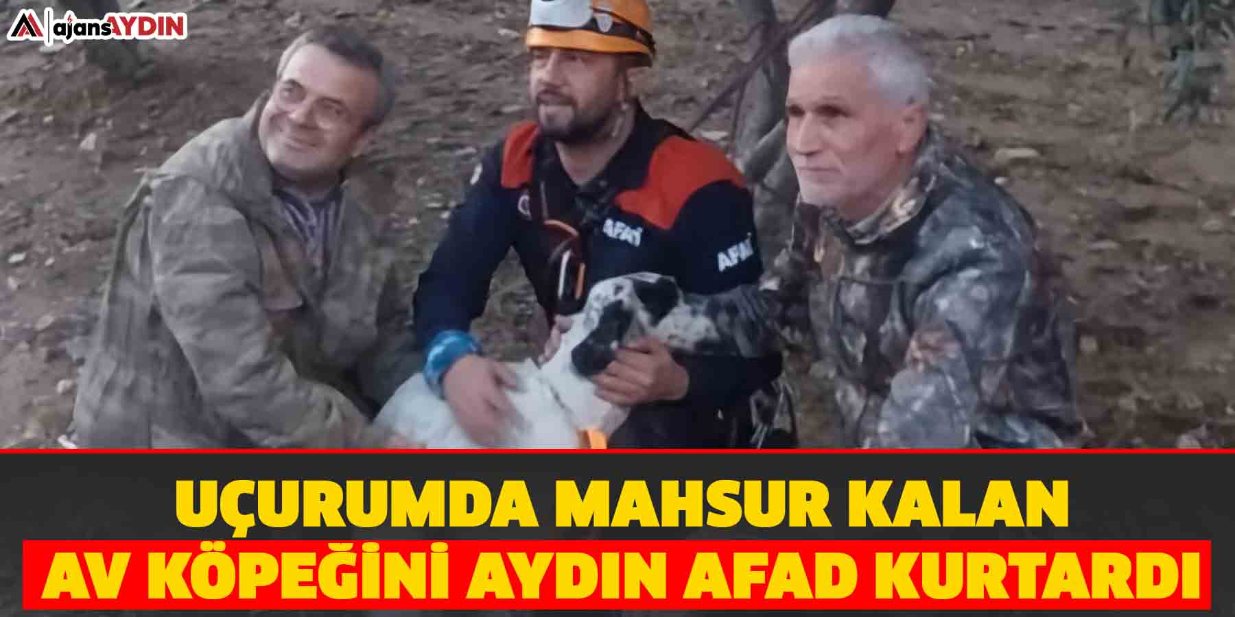 Uçurumda mahsur kalan av köpeğini Aydın AFAD kurtardı