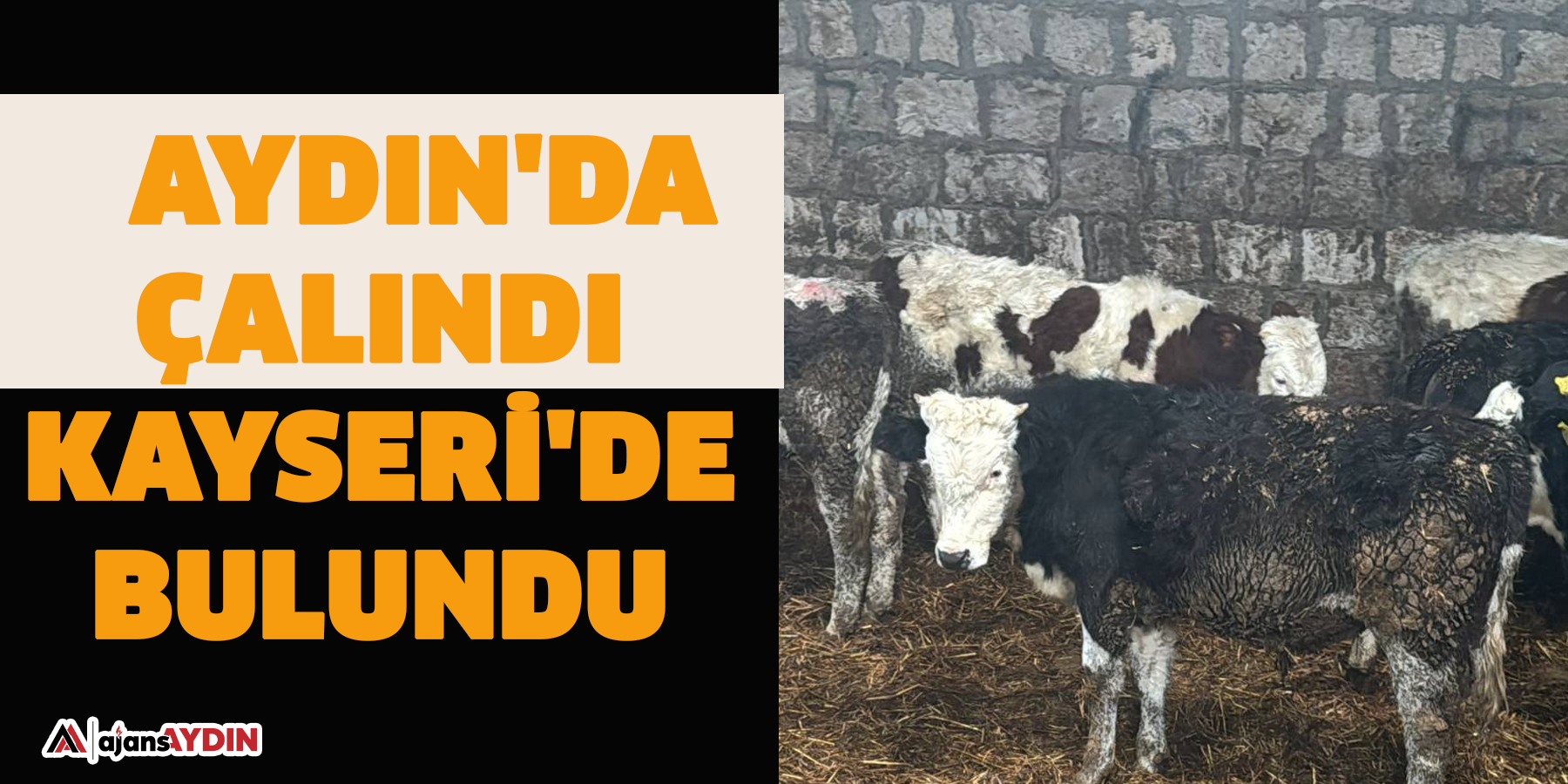 Aydın'da çalındı Kayseri'de bulundu