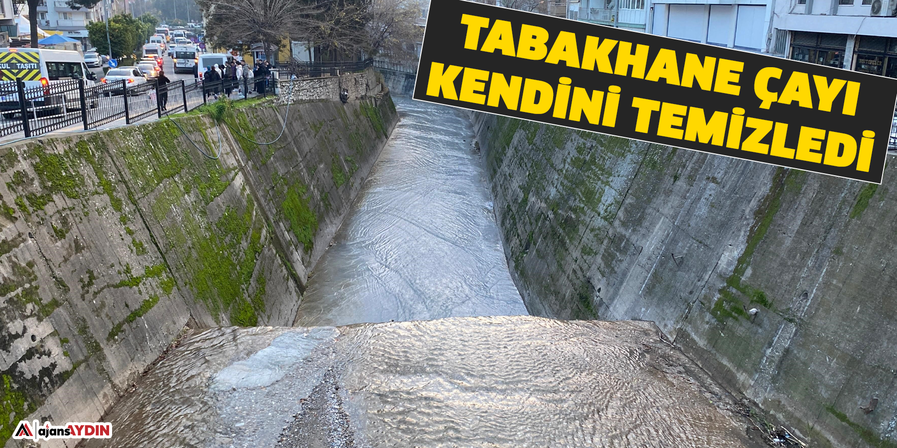 Tabakhane Çayı kendini temizledi