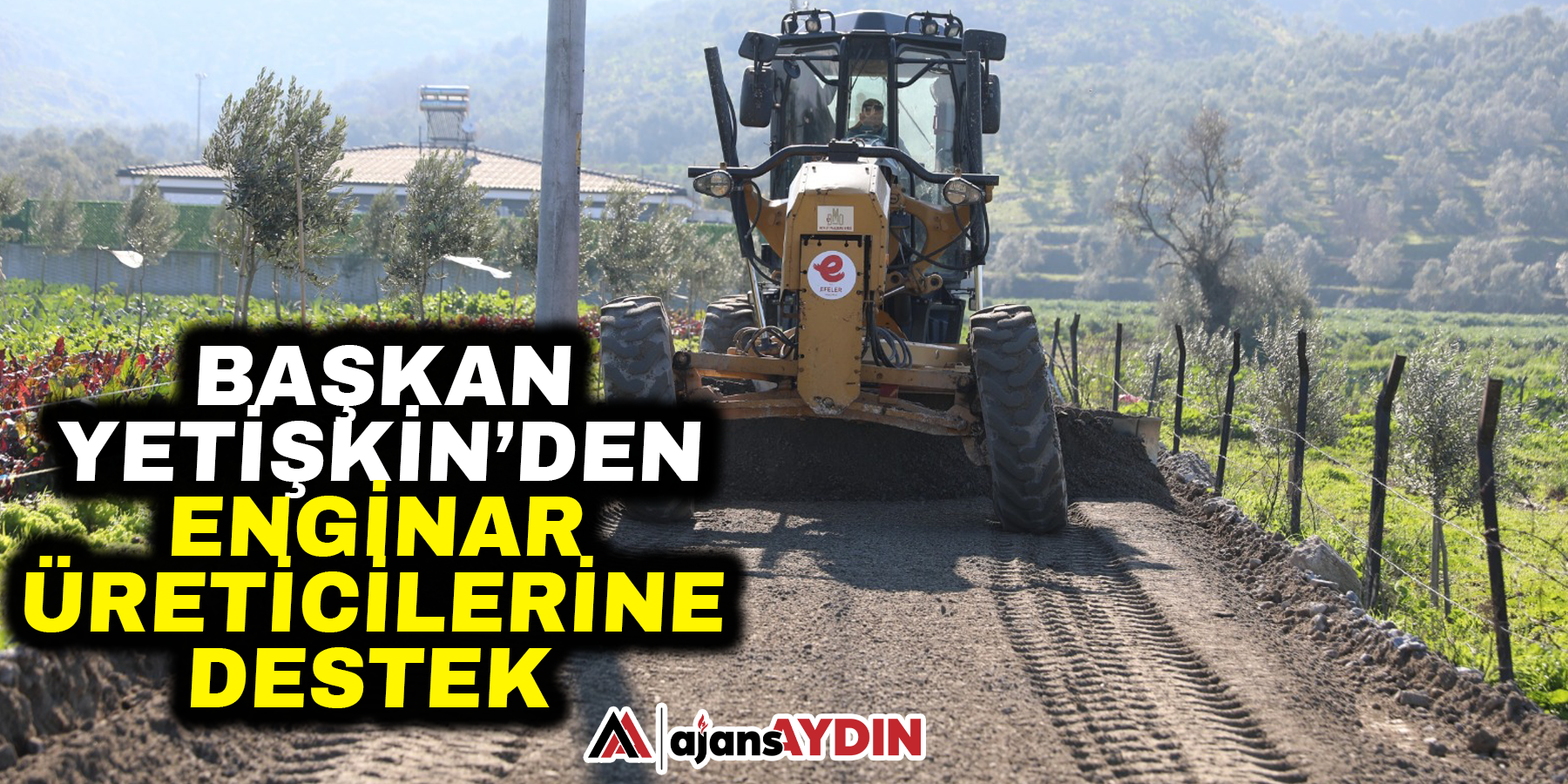 Başkan Yetişkin’den Enginar Üreticilerine Destek