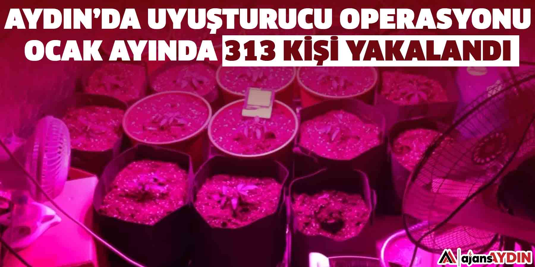 Aydın’da uyuşturucu operasyonu: Ocak ayında 313 kişi yakalandı