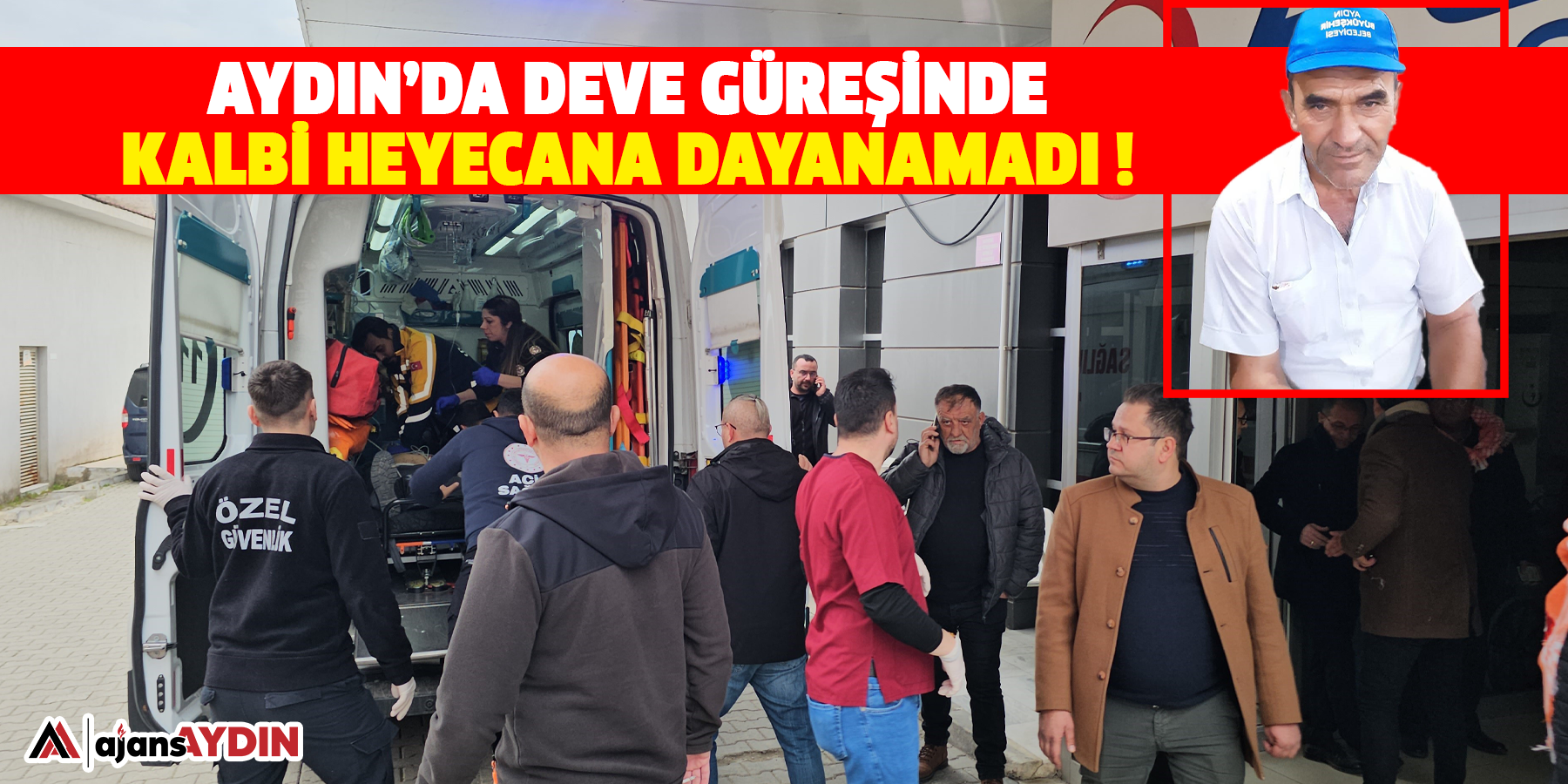 Aydın’da deve güreşinde kalbi heyecana dayanamadı