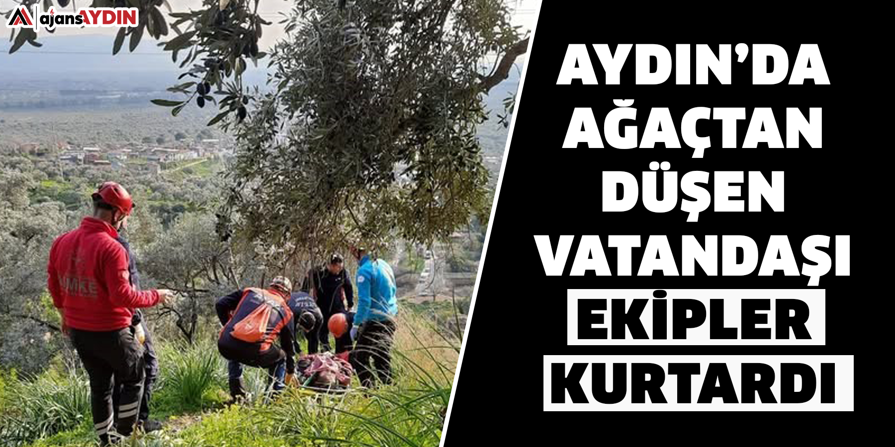 Aydın’da ağaçtan düşen vatandaşı ekipler kurtardı