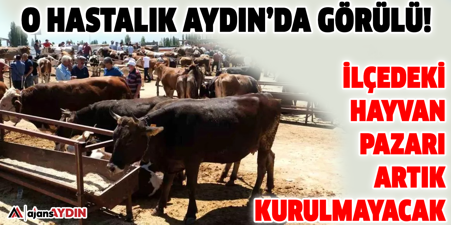 O hastalık Aydın’da görülü!  İlçedeki hayvan pazarı artık kurulmayacak