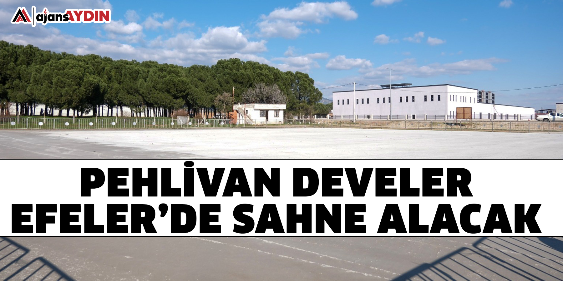 Pehlivan develer Efeler’de sahne alacak