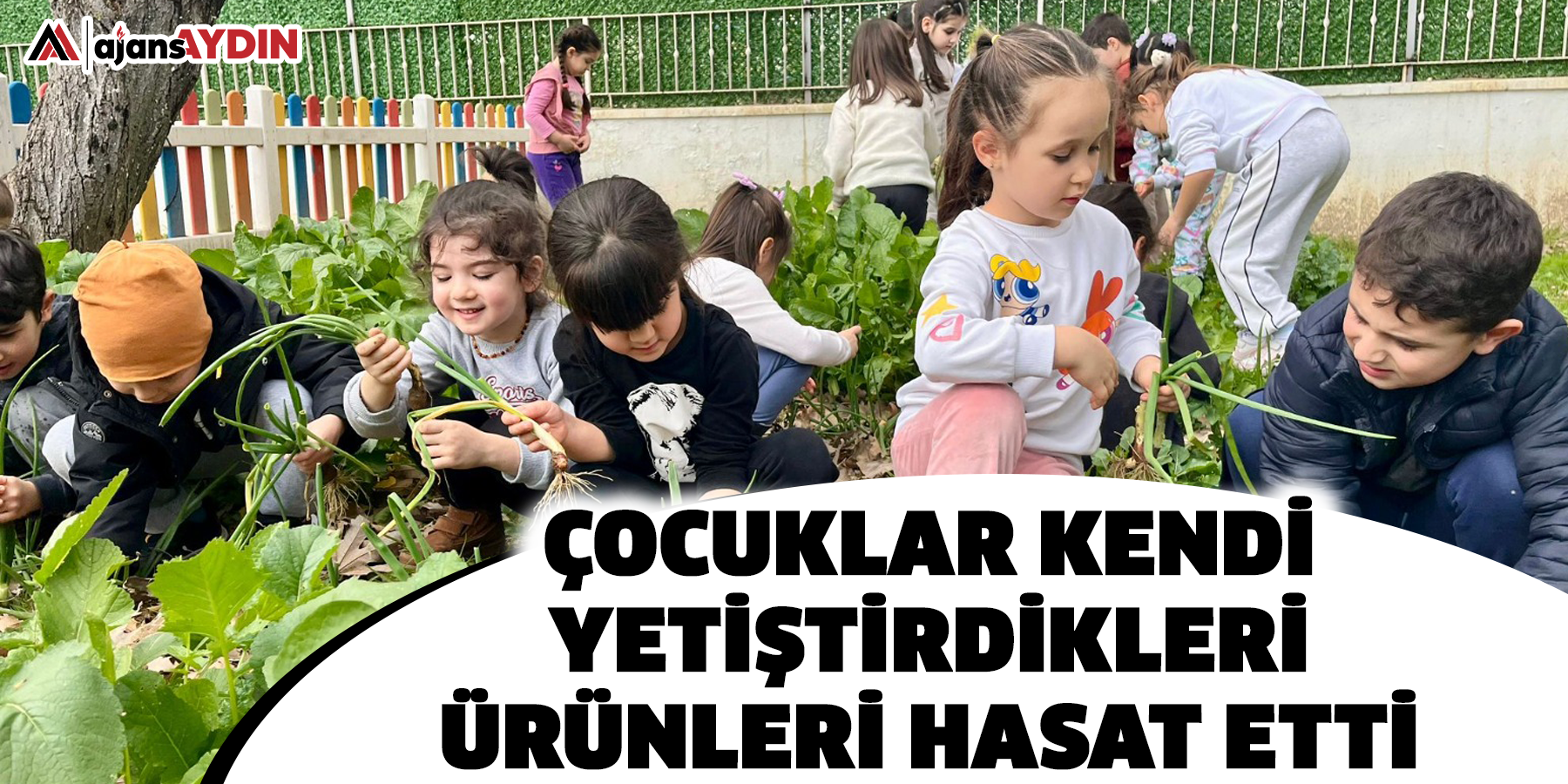 Çocuklar Kendi Yetiştirdikleri Ürünleri Hasat Etti