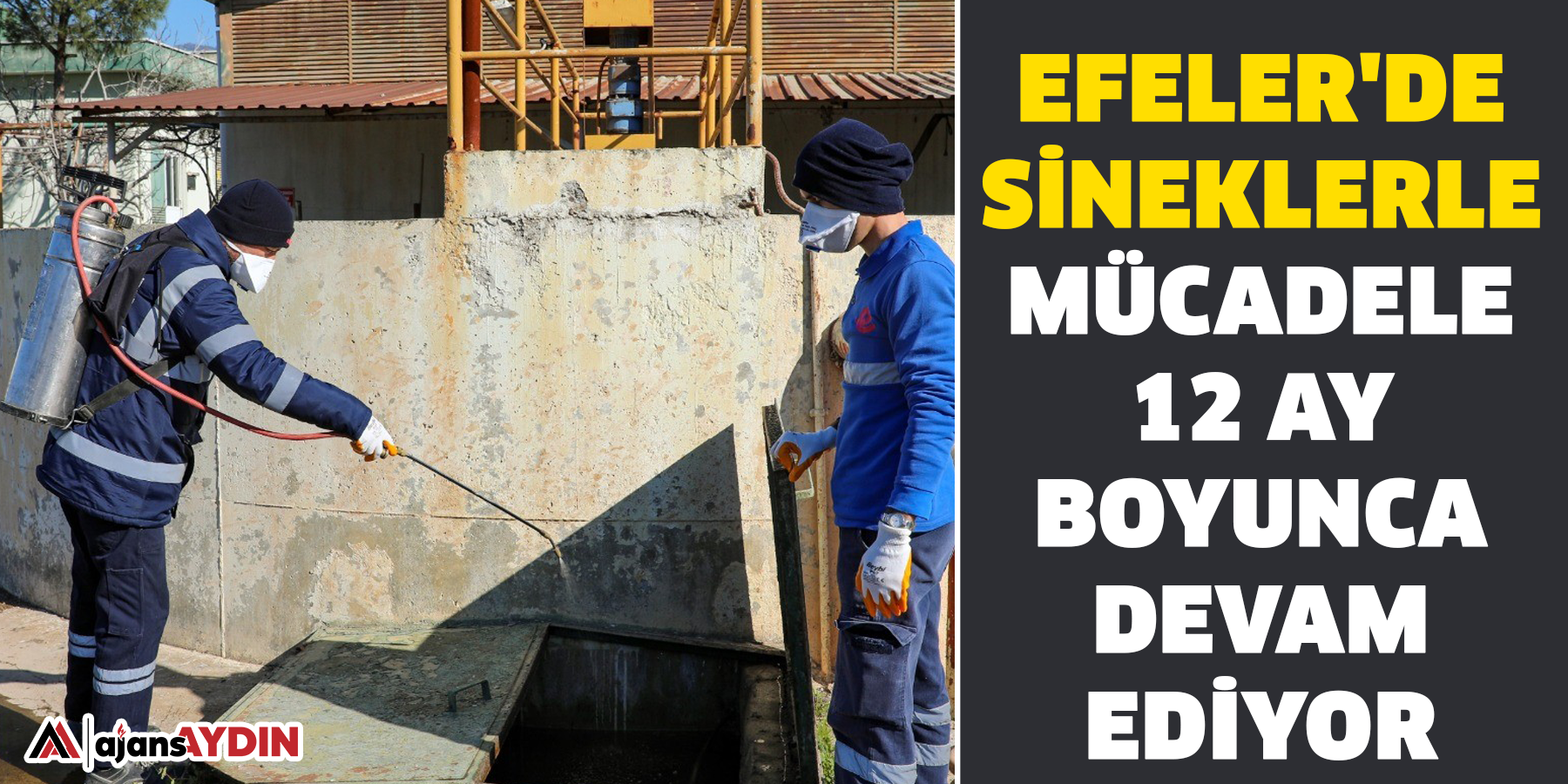 Efeler'de sineklerle mücadele 12 ay boyunca devam ediyor