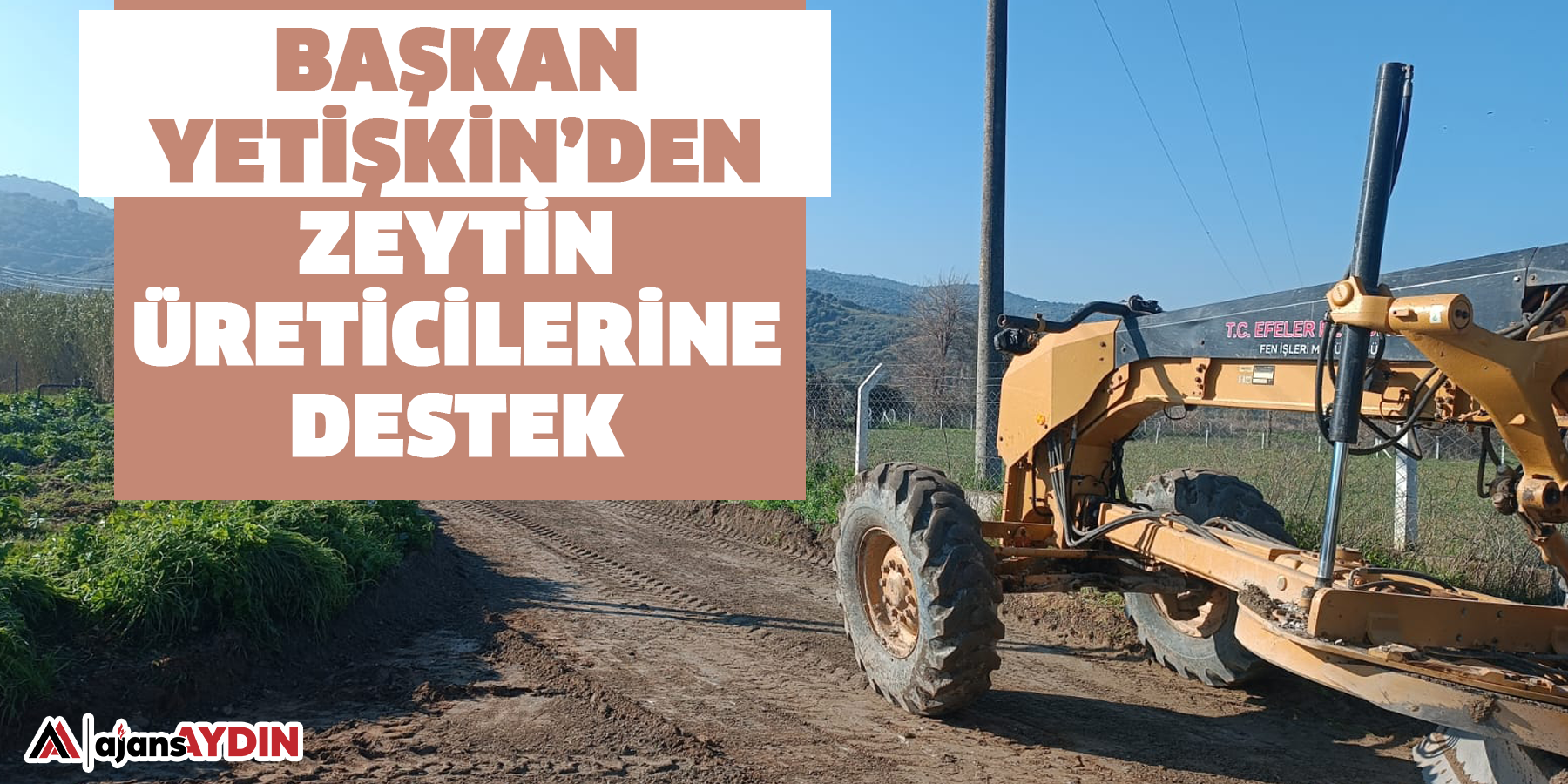 Başkan Yetişkin’den Zeytin Üreticilerine Destek